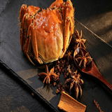 Chinese Mitten Crab